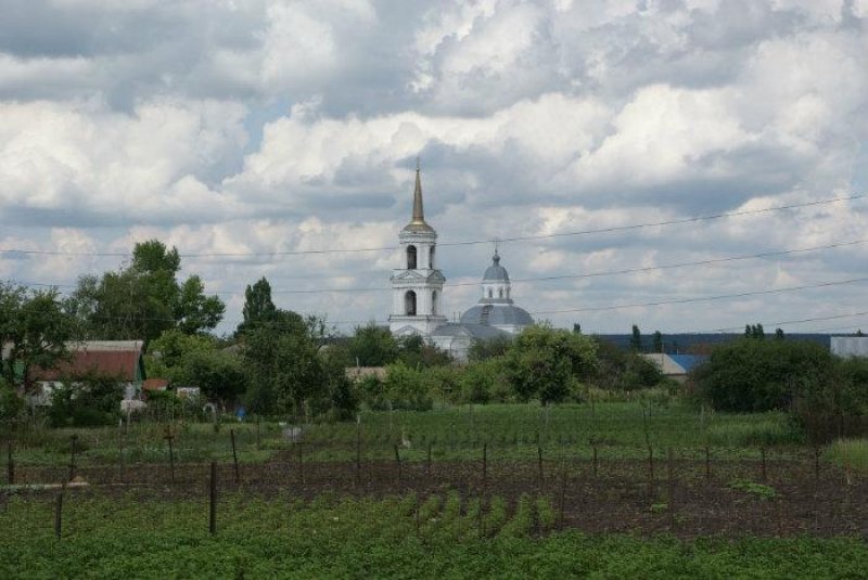 Прогноз погоды Новая Усмань Воронежская область